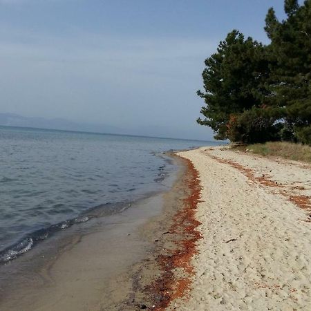 Vlachogiannis El Estate Daire Skala Rachoni  Dış mekan fotoğraf