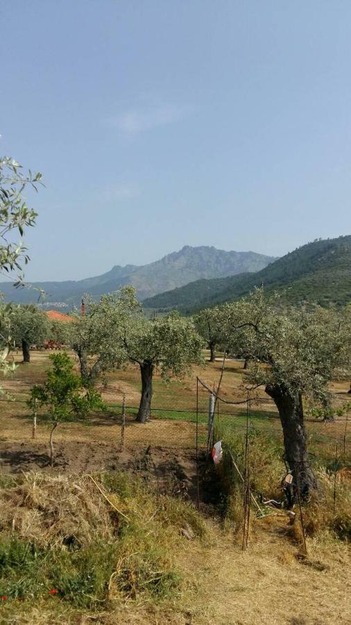 Vlachogiannis El Estate Daire Skala Rachoni  Dış mekan fotoğraf
