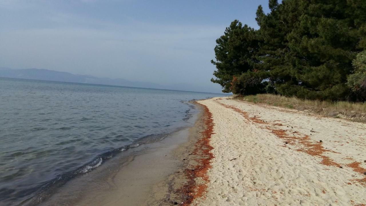 Vlachogiannis El Estate Daire Skala Rachoni  Dış mekan fotoğraf