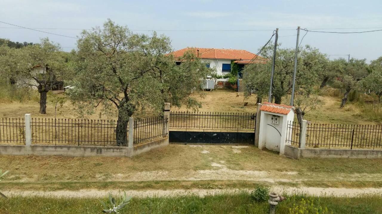 Vlachogiannis El Estate Daire Skala Rachoni  Dış mekan fotoğraf