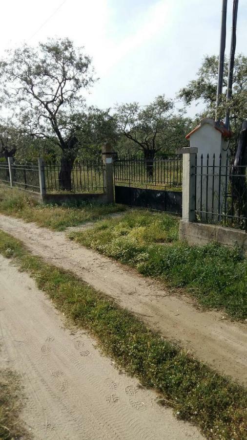 Vlachogiannis El Estate Daire Skala Rachoni  Dış mekan fotoğraf