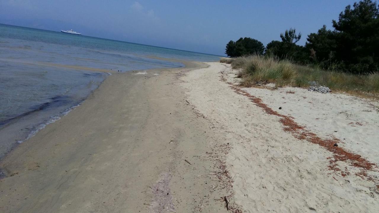 Vlachogiannis El Estate Daire Skala Rachoni  Dış mekan fotoğraf