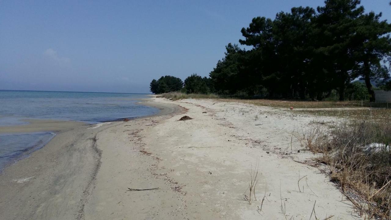 Vlachogiannis El Estate Daire Skala Rachoni  Dış mekan fotoğraf