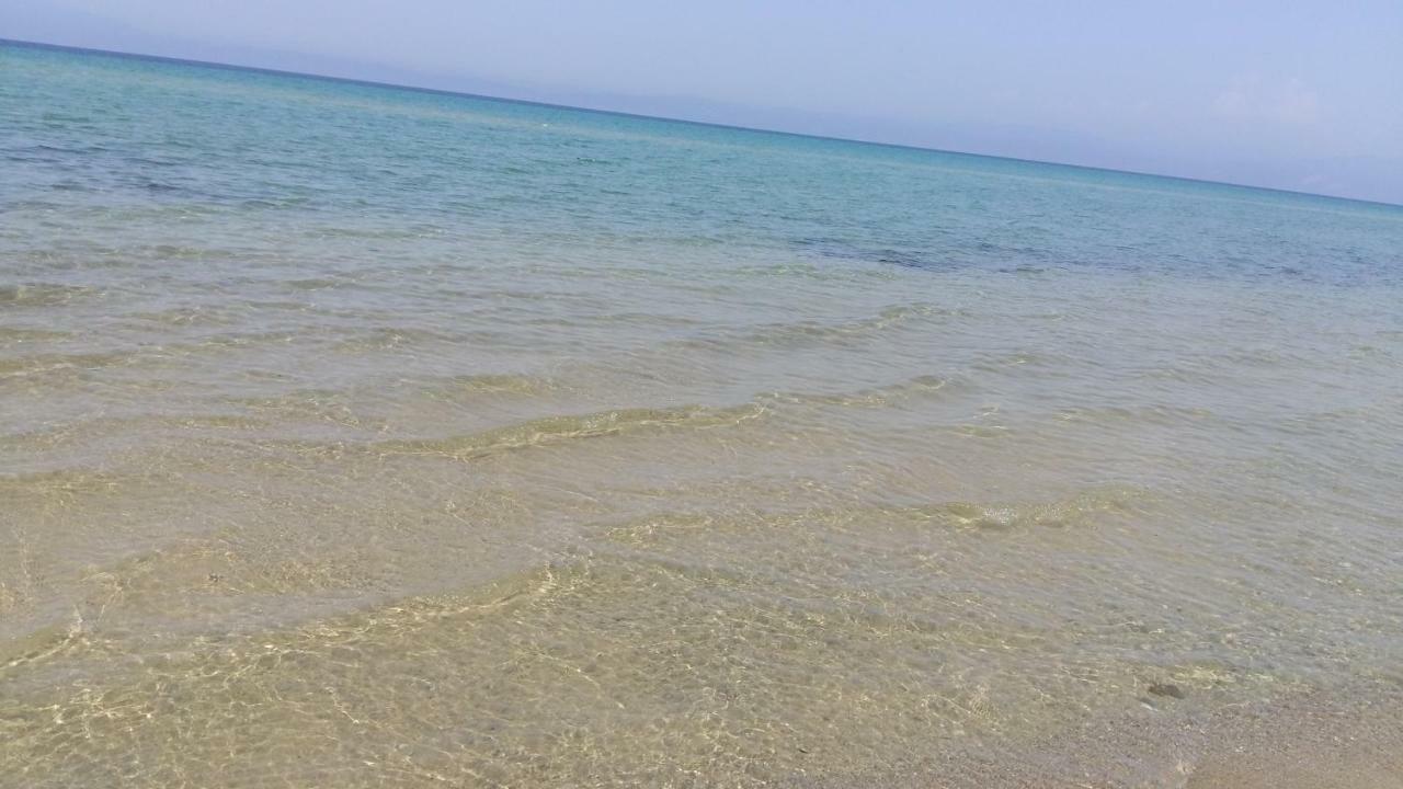 Vlachogiannis El Estate Daire Skala Rachoni  Dış mekan fotoğraf